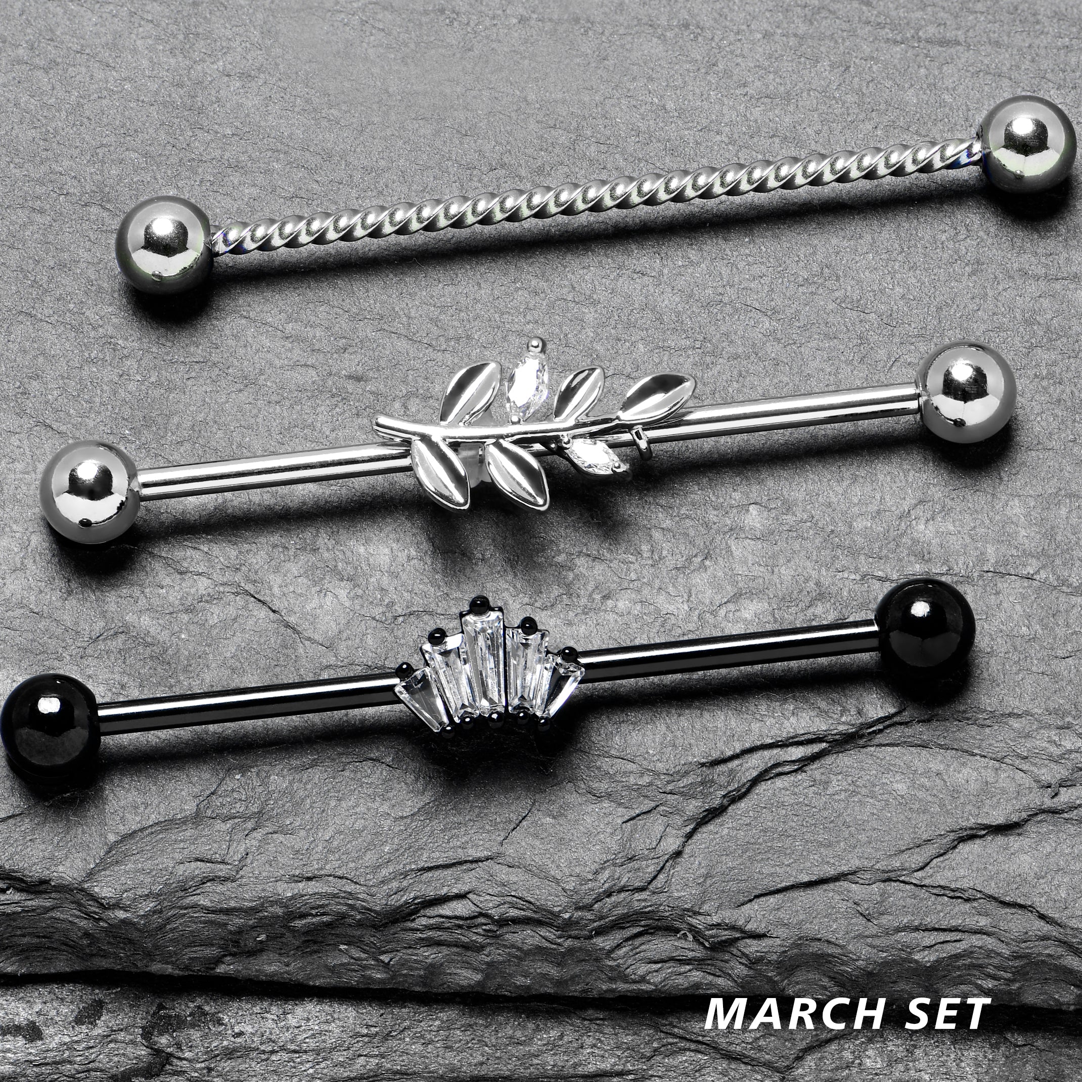 Industrial Piercing Monthly Club - Image 3