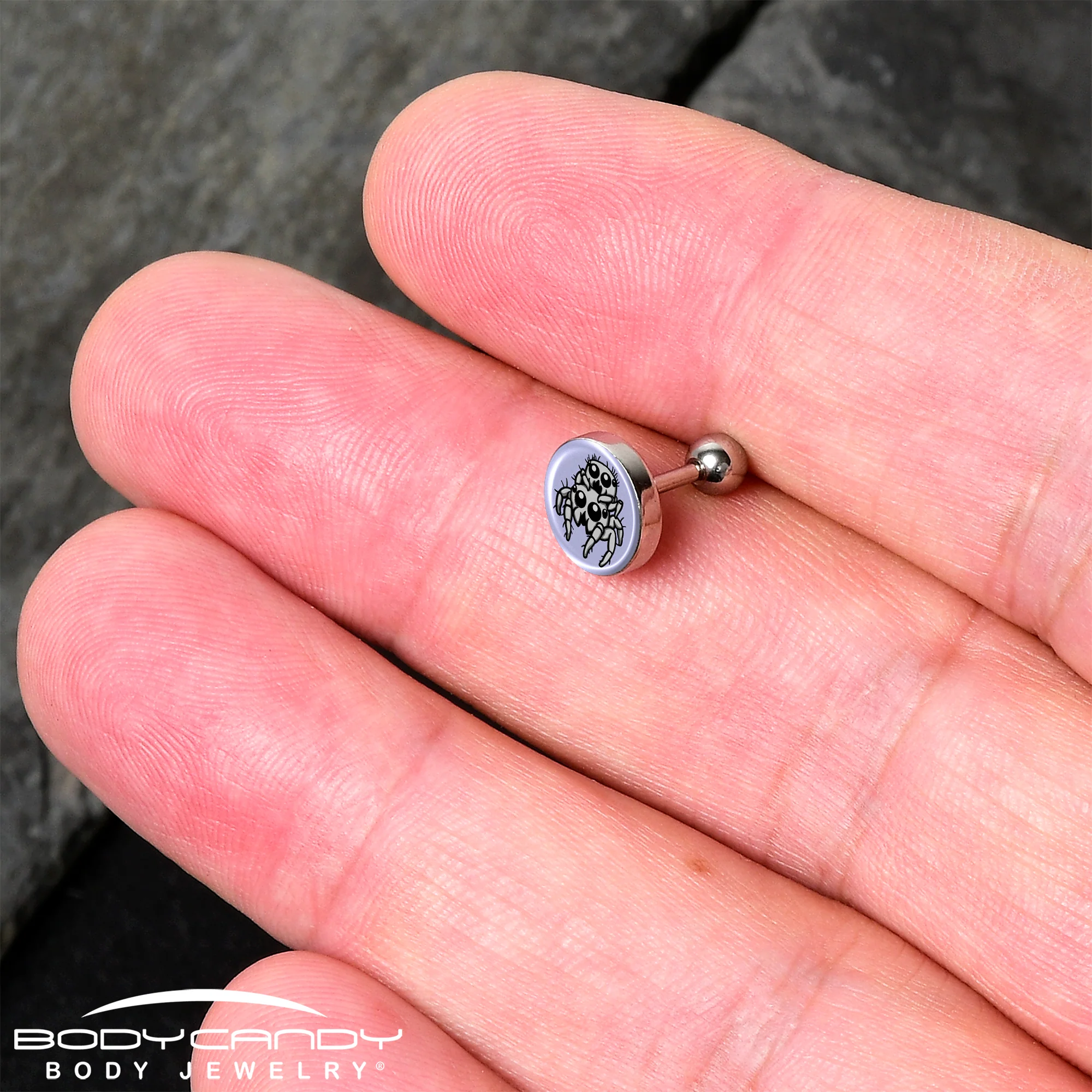 Leaping Leapfrog Spiders Tragus Cartilage Earring by Onyx O - Image 2