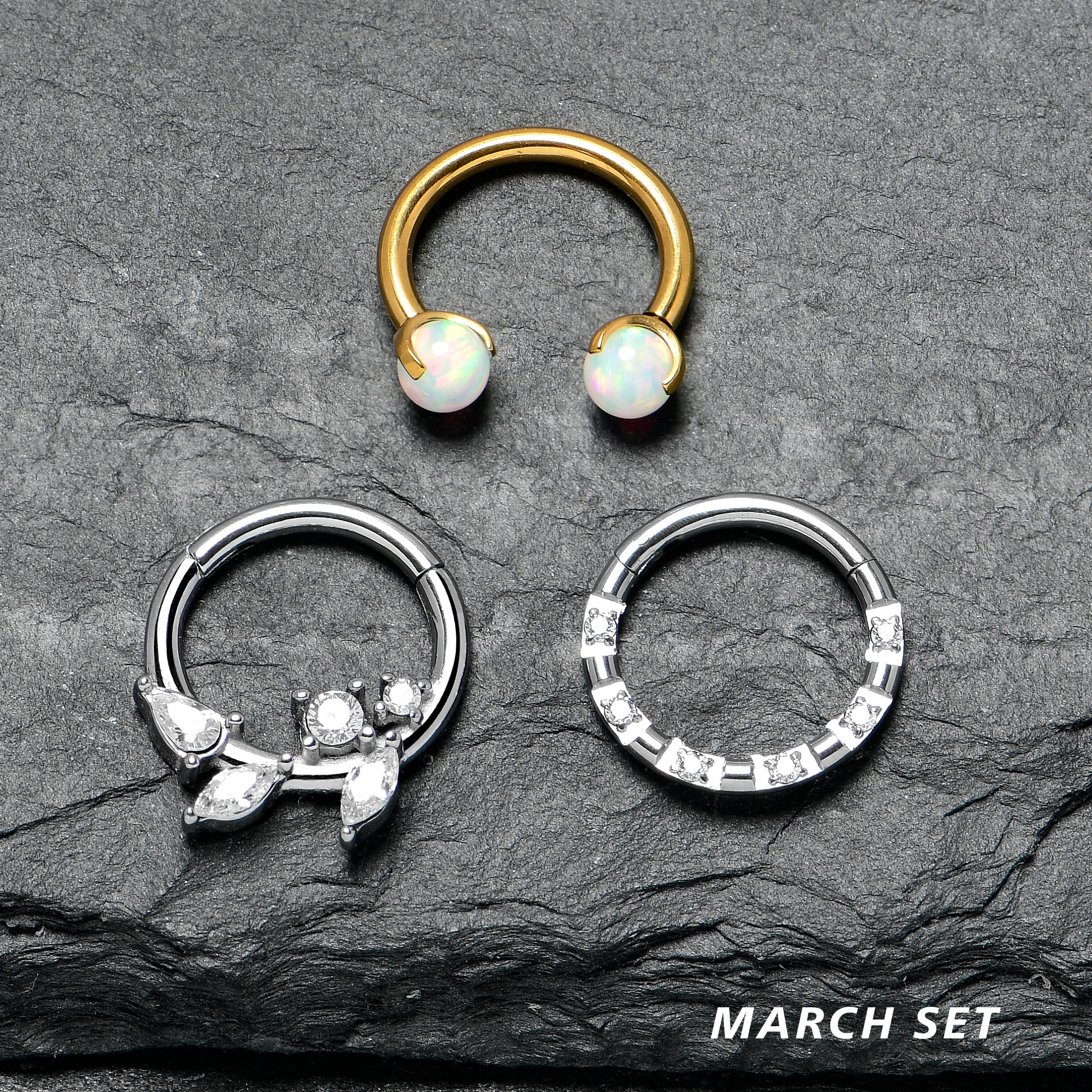 Septum Piercing Monthly Club - Image 3