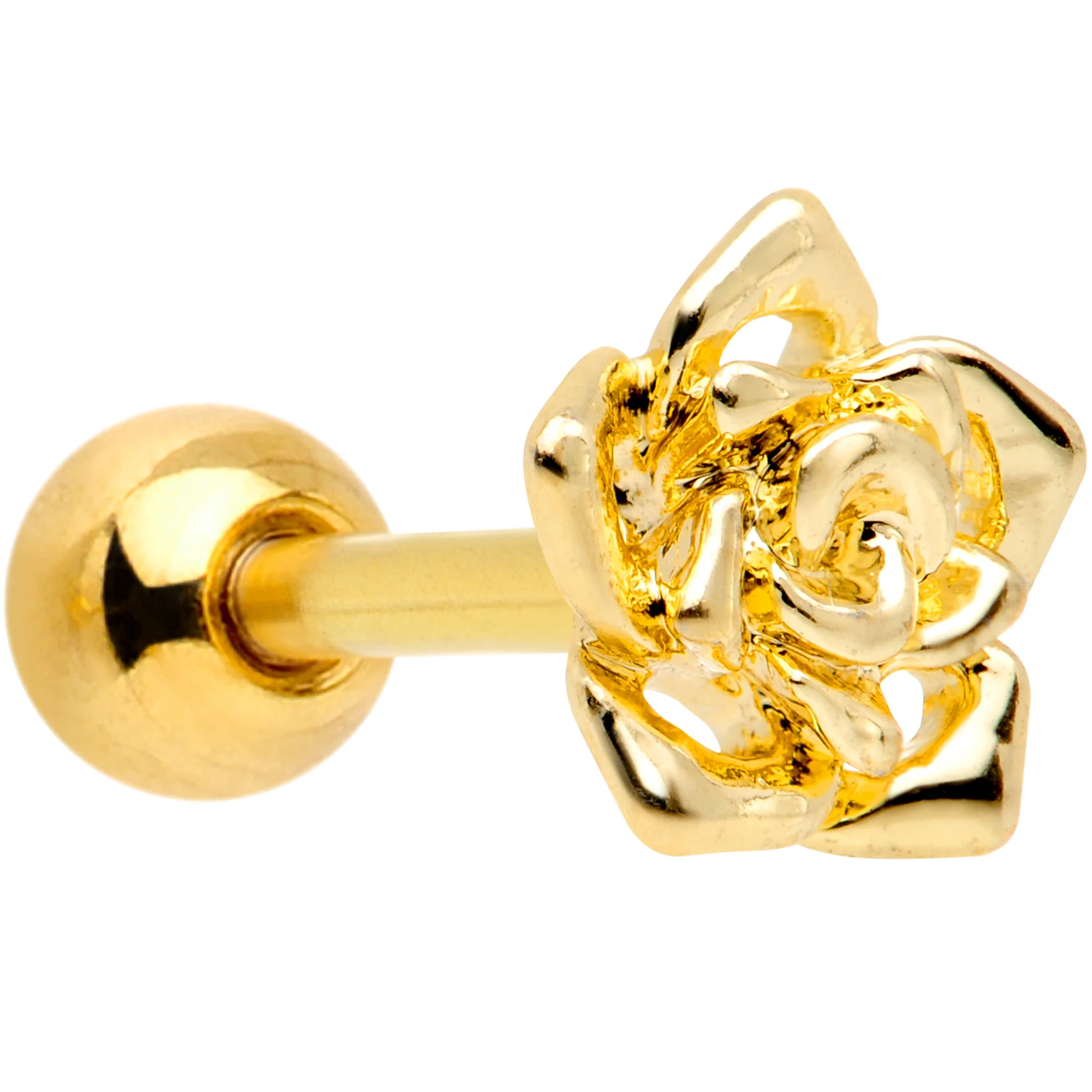 Shine Bright Ear and Fake Septum Curation - Image 5