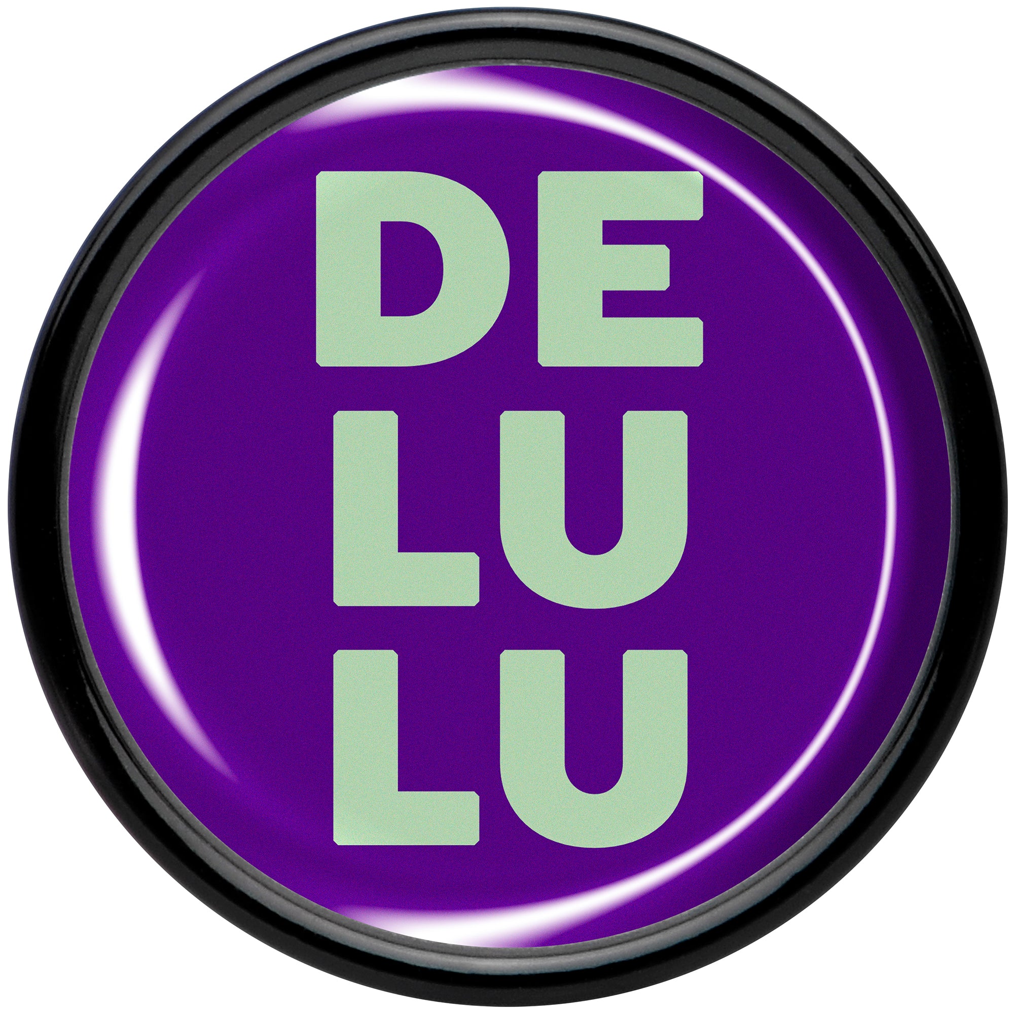 Word DELULU Black Acrylic Saddle Plug Set by Onyx O - Image 4